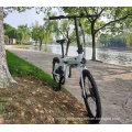 Folding E Bike/Foldable Electric Bicycle 36V Motor Life Electric Bike Folding